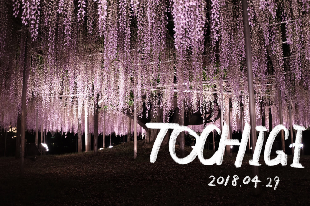 栃木県を一日で満喫 Gw観光モデルコース 神秘と歴史と花を巡る旅 Forest People